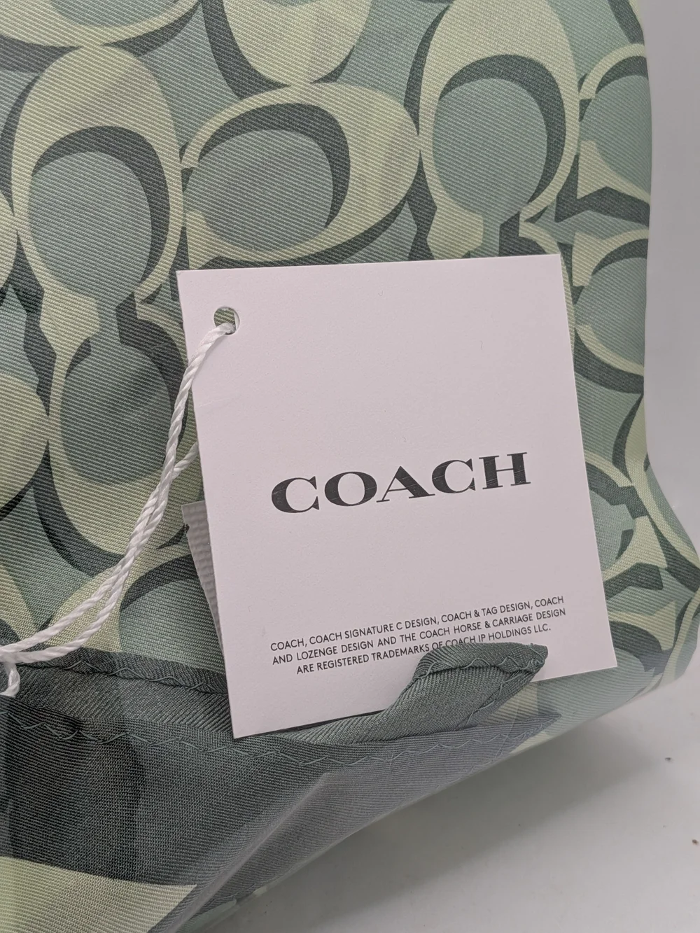 COACH Mint Green Signature Print Diamond Silk Scarf